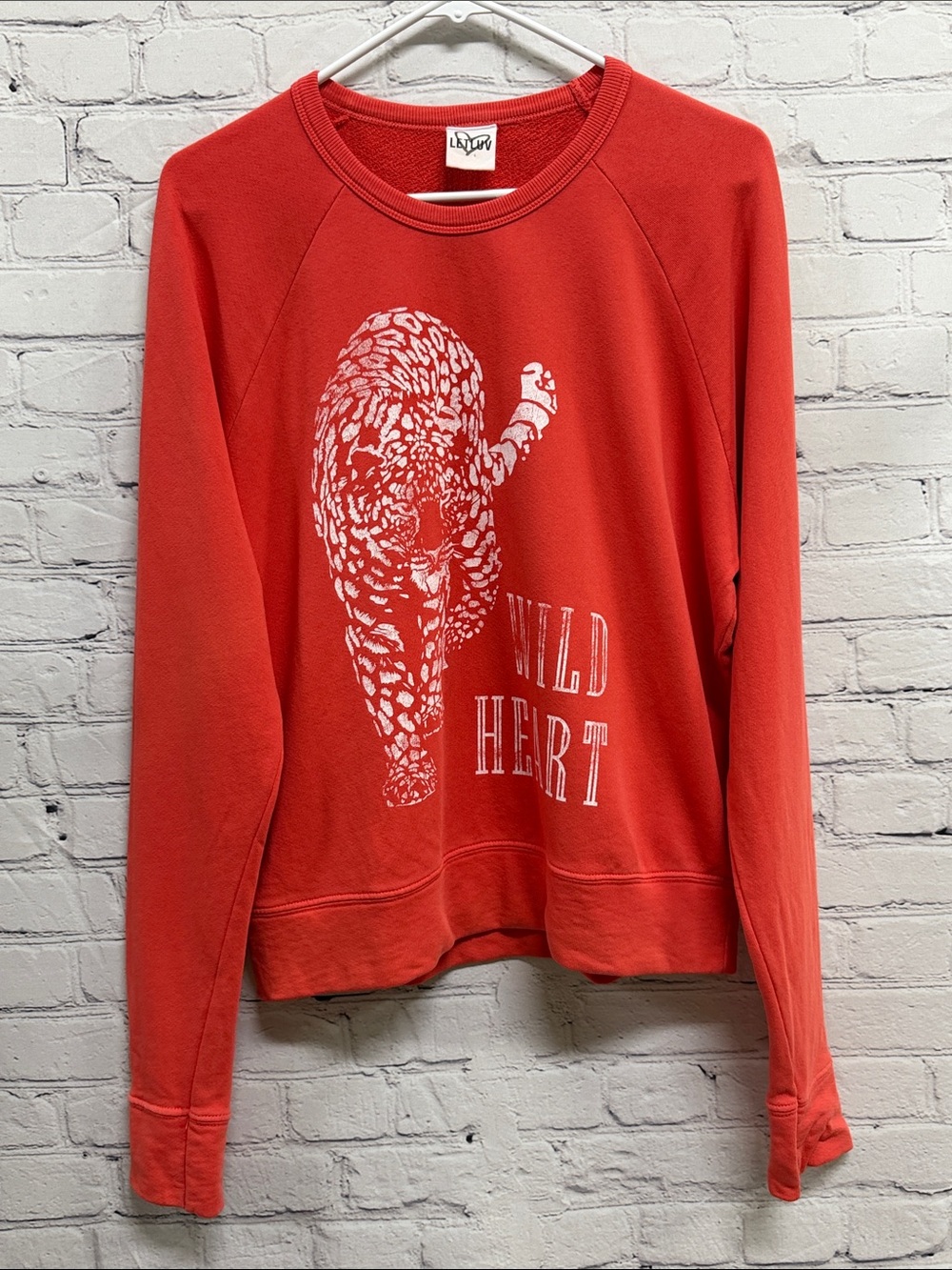 Anthropologie LetLuv Wild Heart Sweatshirt oversized XS